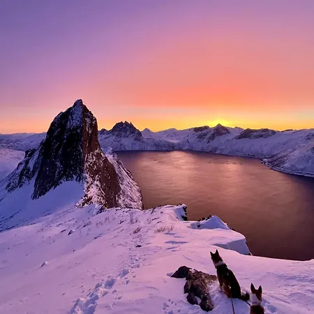 Hotel Yttersia Base Senja