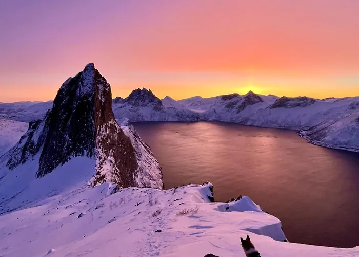 Szálloda Yttersia Base Senja