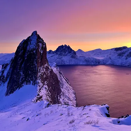 Yttersia Base * Senja