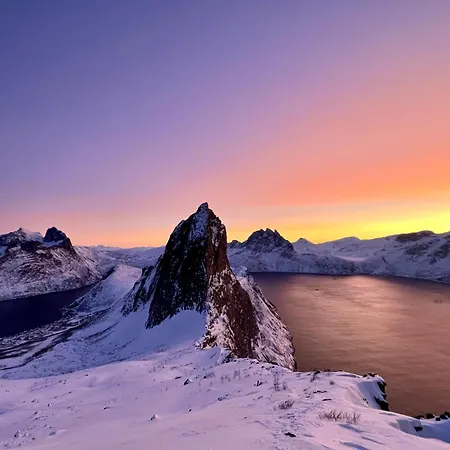 מלון Yttersia Base Senja